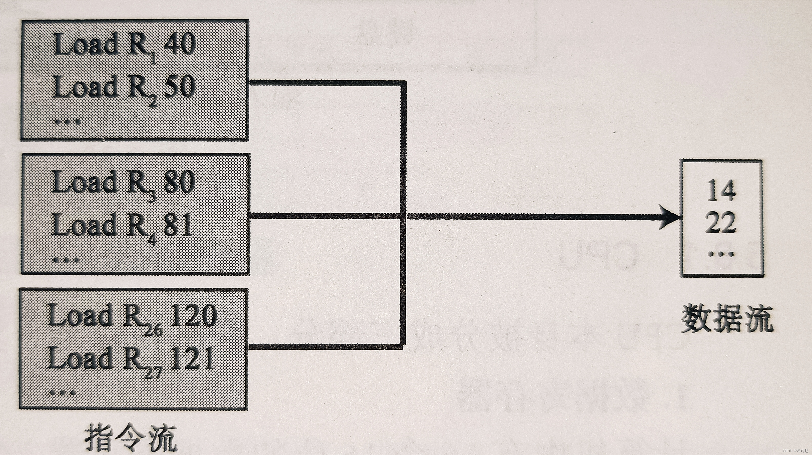 图 4 MISD组织