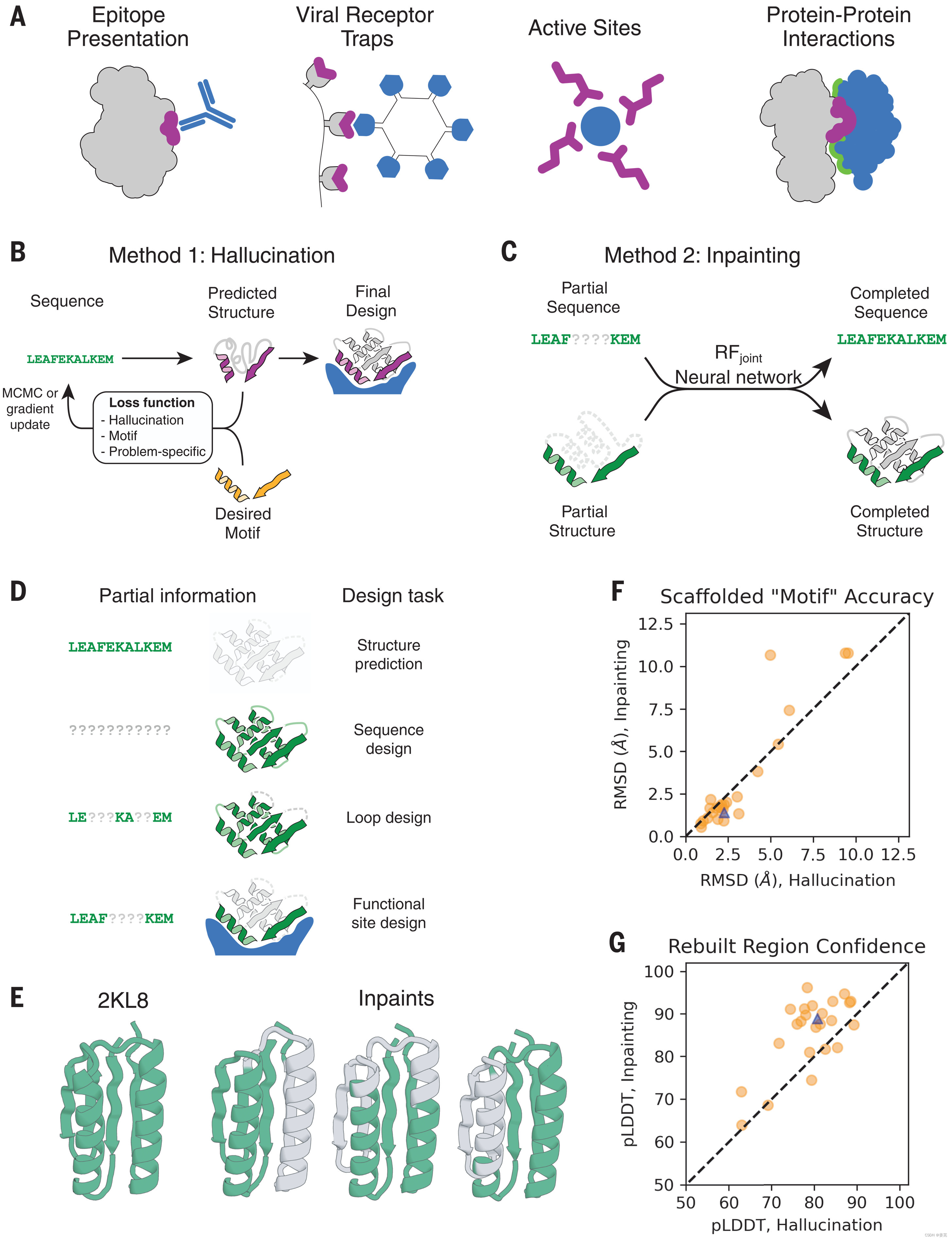 Science | 利用深度学习搭建蛋白质功能位点(Scaffolding protein functional sites using ...