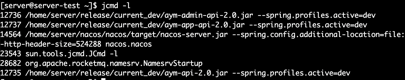 jvm-2-jcmd-jcmd-csdn