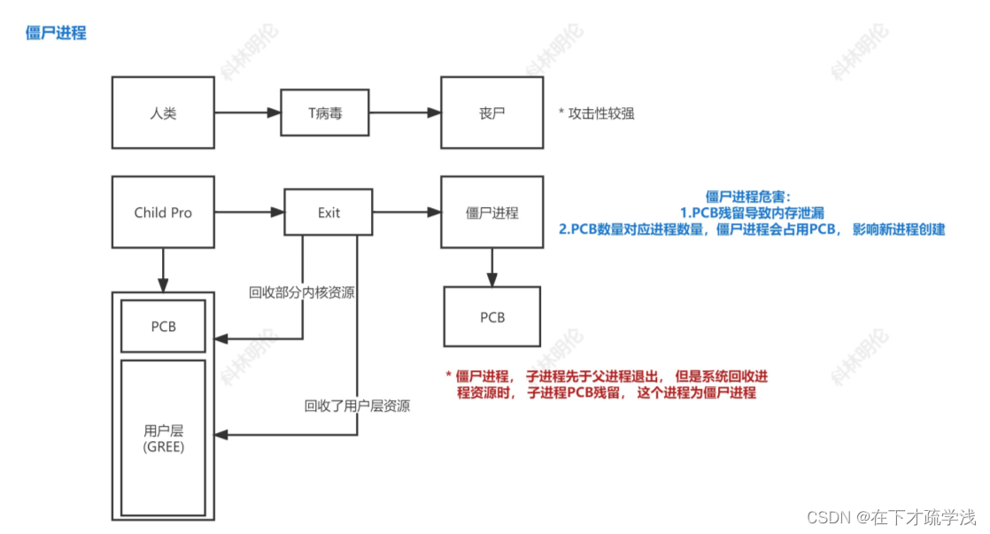 Linux中的僵尸进程与wait函数、waitpid函数详解（附图解与代码实现）_wait函数头文件-CSDN博客