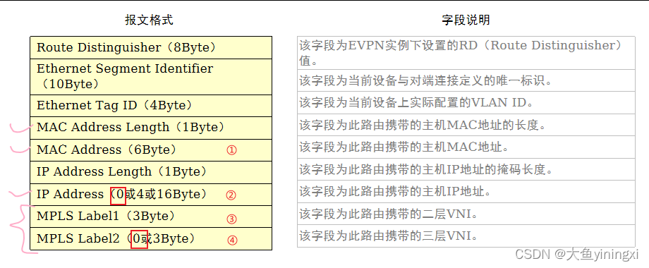MAC/IP路由报文格式