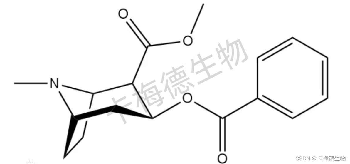 药物滥用第一篇介绍