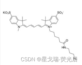 水溶性近红外染料Sulfo-CY5 N3组织成像 | 星戈瑞