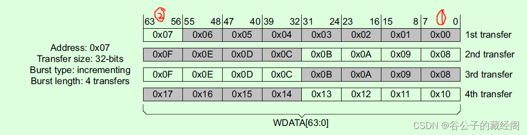 AXI write data在Write data channel的排布