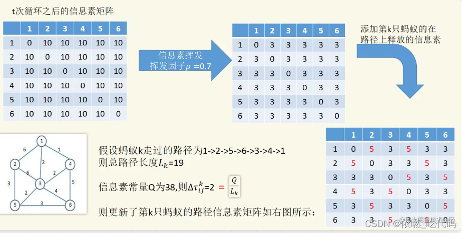 蚁群算法详解-解决TSP问题