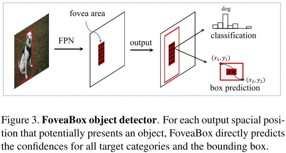 FoveaBox