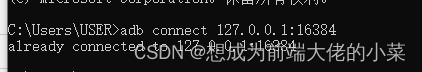 adb connect 127.0.0.1:16384