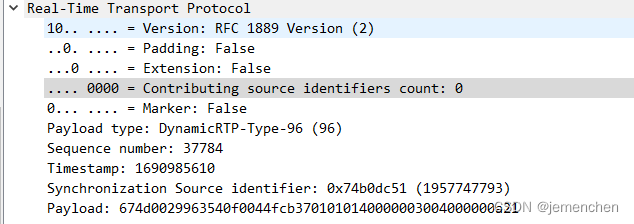 RTSP/RTP on TCP 协议抓包记录