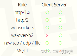 libwebsockets入门