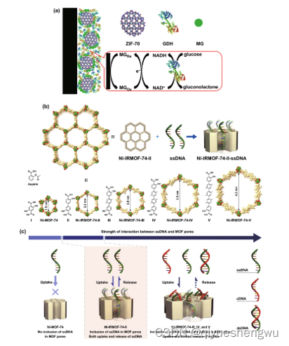 金属机框架ZIF- 8的小分子药物|DOX@ZIF-8-FA负载阿霉素DOX和紫杉醇PTX（定制服务）