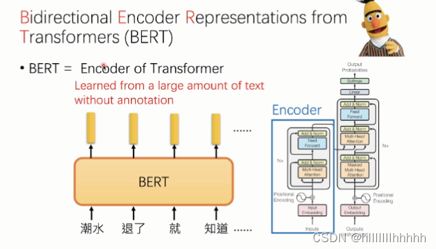 讲座-文本可读性 BERT模型训练 双向通道_bert文本可读性分析-CSDN博客