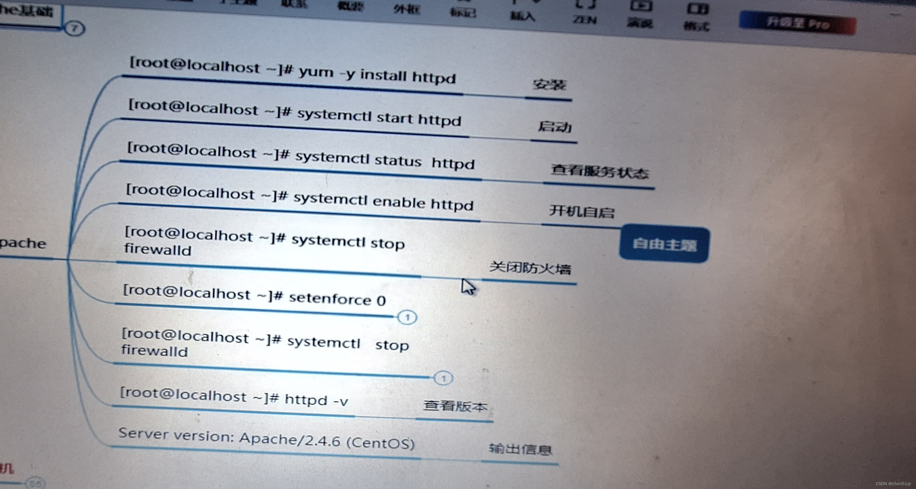 Linux网站服务