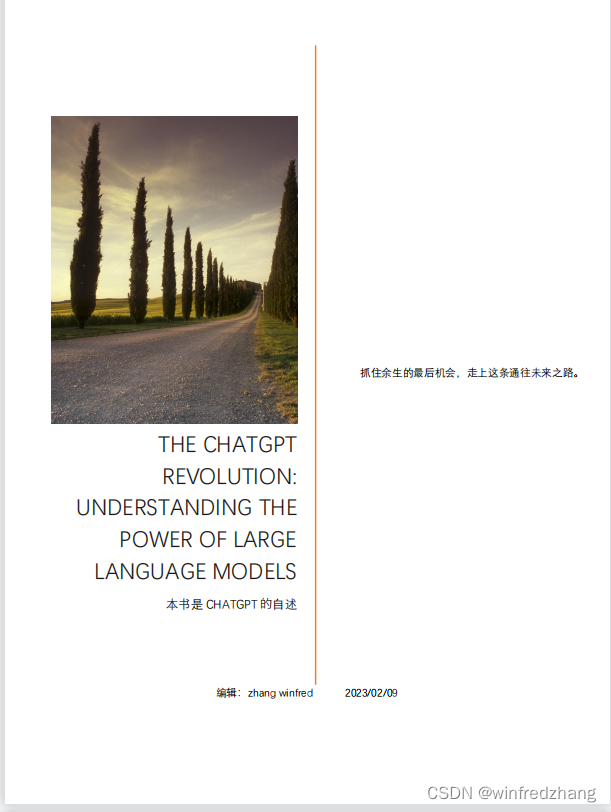 一本关于ChatGPT的书《ChatGPT 革命：了解大型语言模型的力量》免费下载