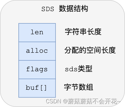 Redis | 数据结构（02）SDS