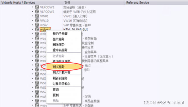 SAP 如何启用WEBGUI_sap webgui-CSDN博客