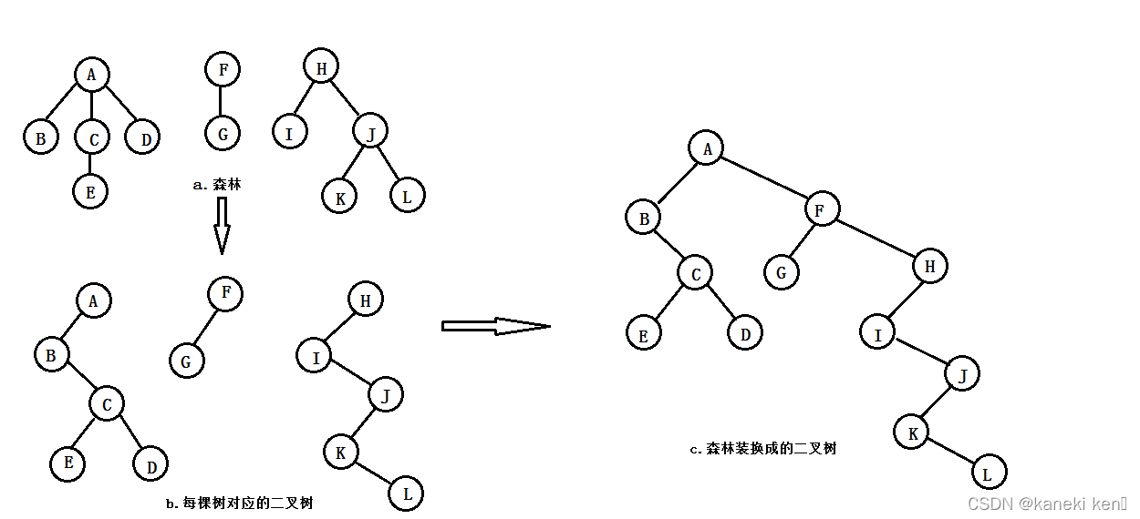 森林转化为二叉树的过程示意图