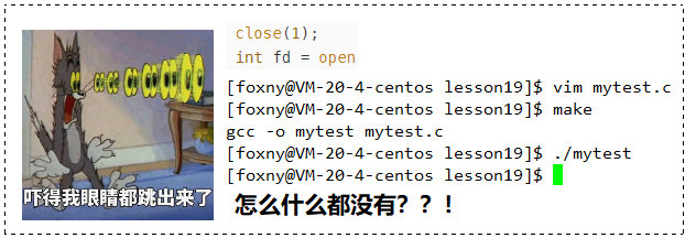 【看表情包学Linux】文件描述符