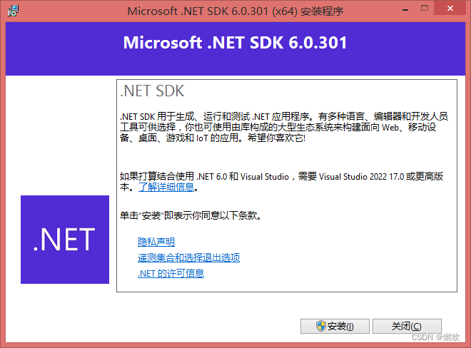 安装 .NET Code SDK