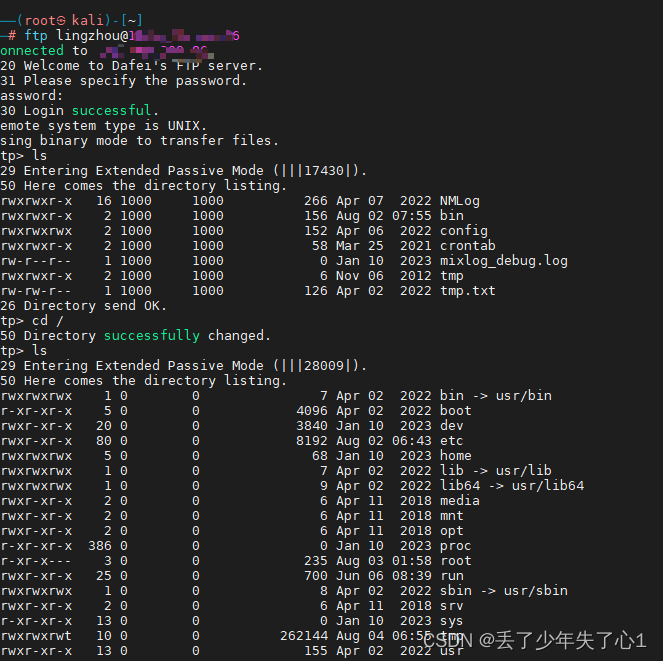 NetMizer 日志管理未授权访问+FTP登录