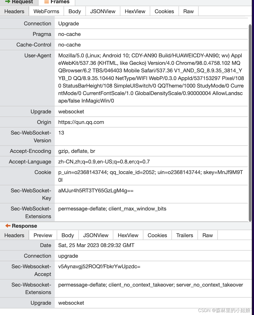 ios15及以上webview、Safari使用Websocket断连，1006无清晰错误码