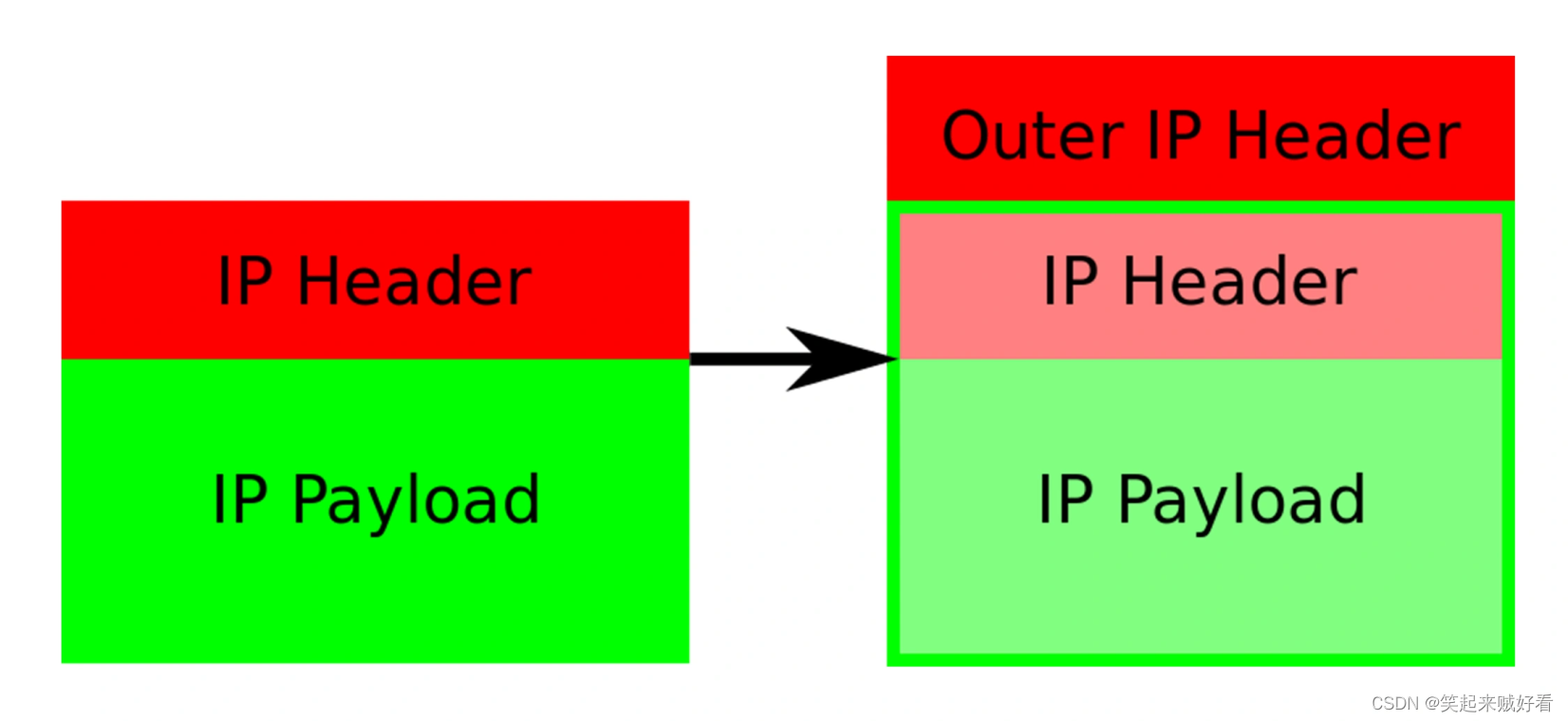 【云原生】解读Kubernetes三层网络方案