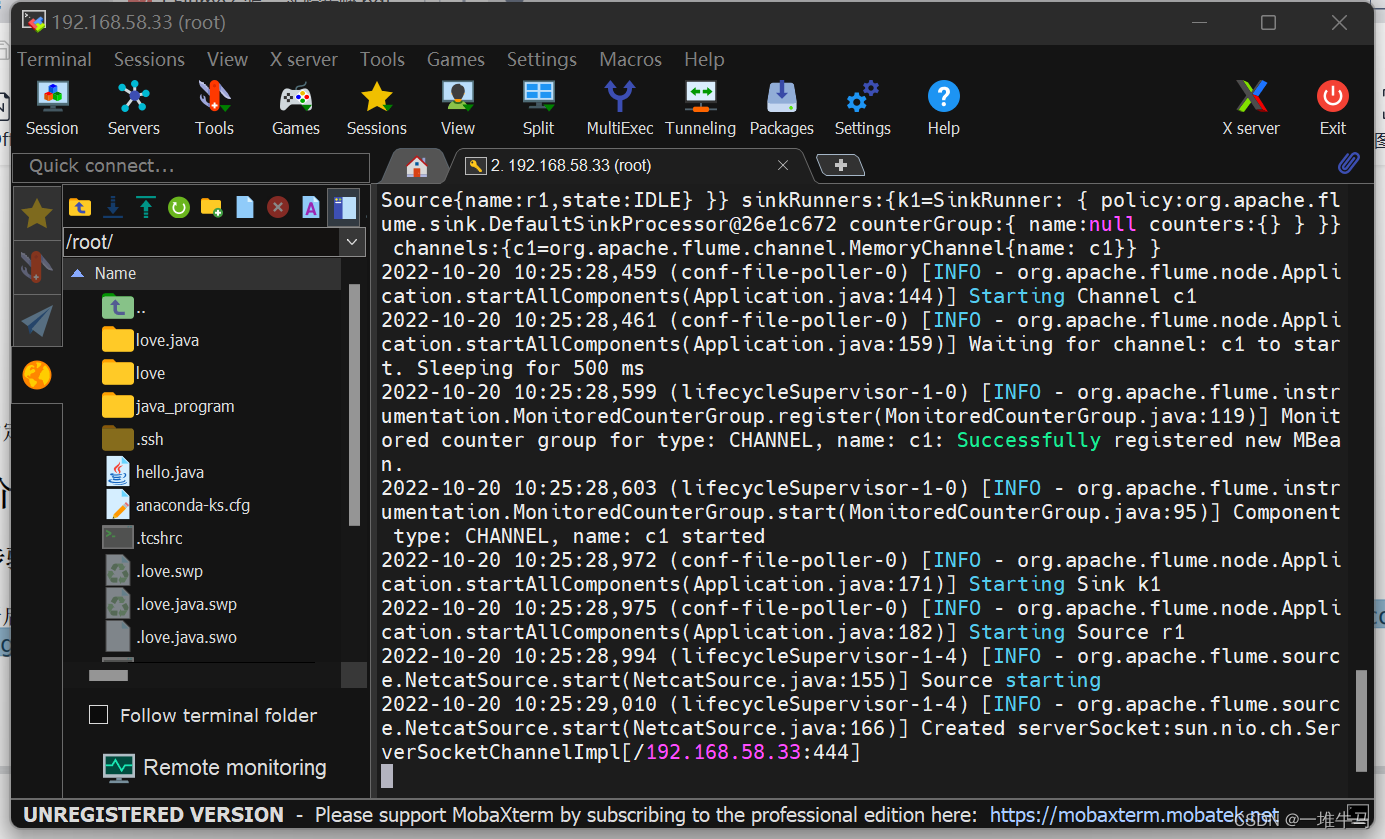 at org.apache.flume.node.Application.main(Application.java:316)-CSDN博客