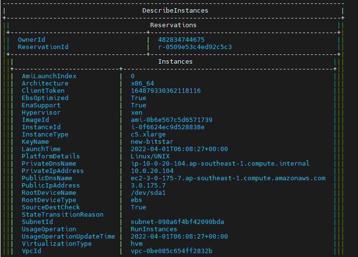 aws cli 查看ec2_describeinstances filtersCSDN博客