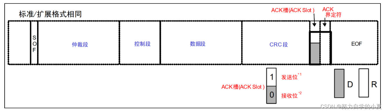 ACK段结构