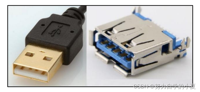 USB A插头和插座