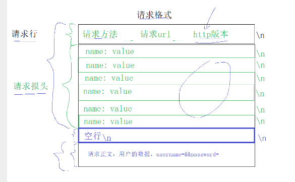 加粗样式