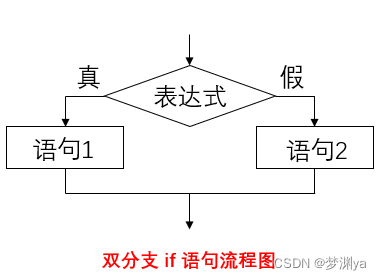 双分支 if 语句流程图