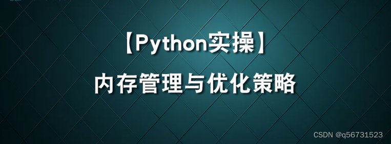 Python实操：内存管理与优化策略