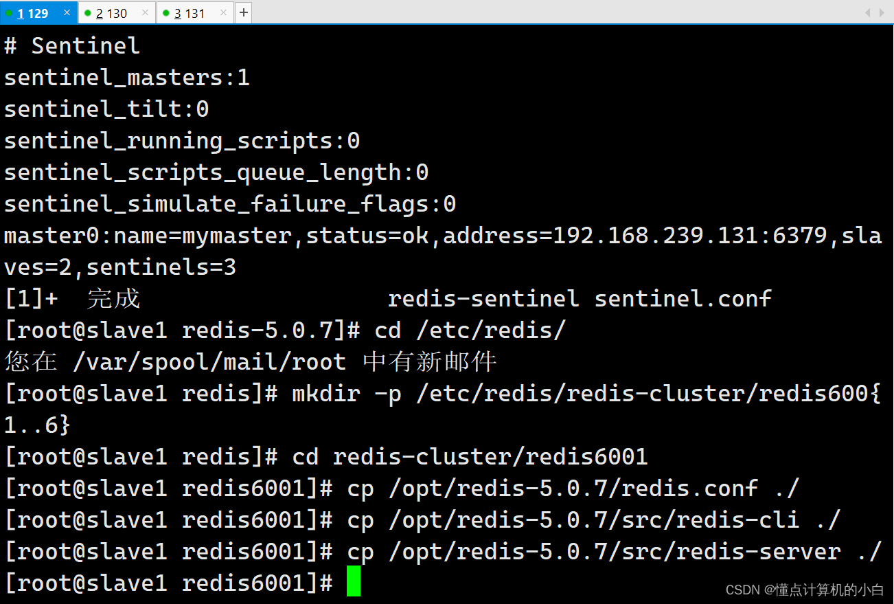 Redis Cluster集群-CSDN博客