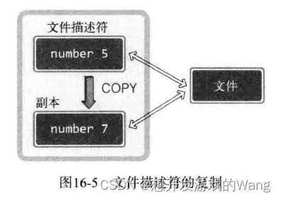 [C++ 网络协议] I/O流分离所带来的半关闭问题