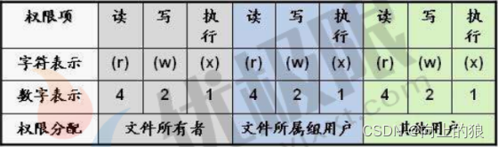 Linux的用户-组-权限详解