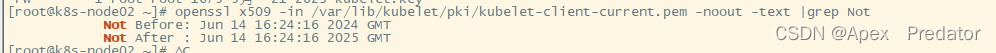 k8s kubeadm高可用集群证书续期