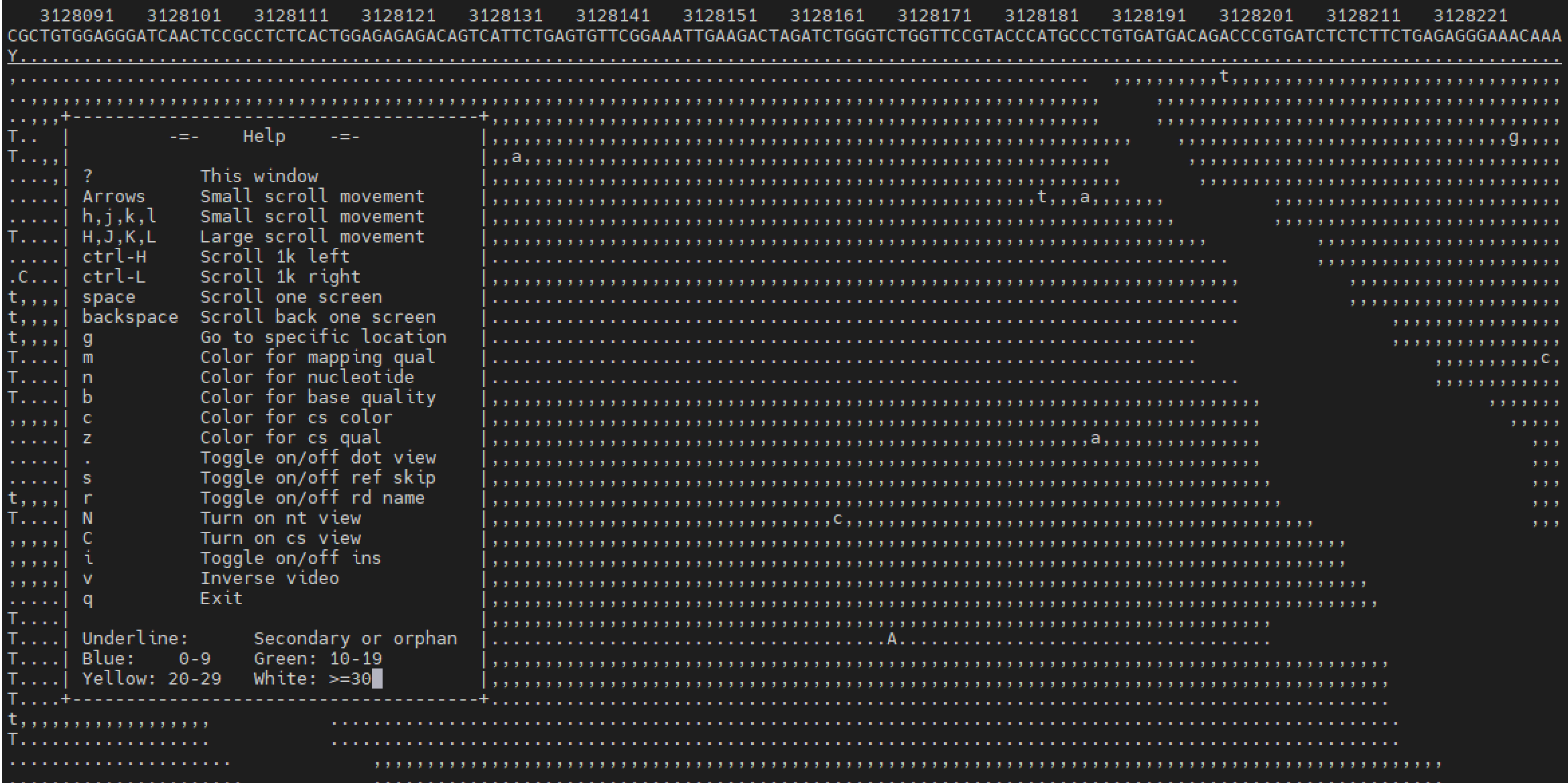 bam 可视化：samtools tview 详细解释CSDN博客