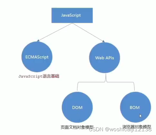 图片来自于黑马程序员前端JavaScript入门到精通全套视频教程P3