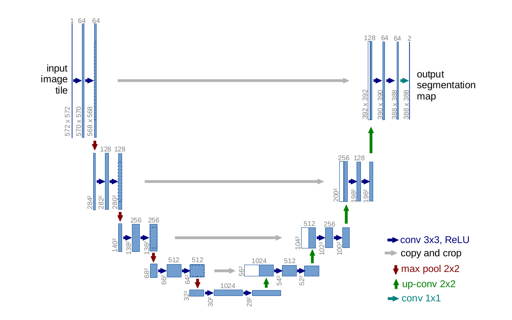 Sartorius -Cell Instance Segmentation -Cell Segment Kaggle Competition ...
