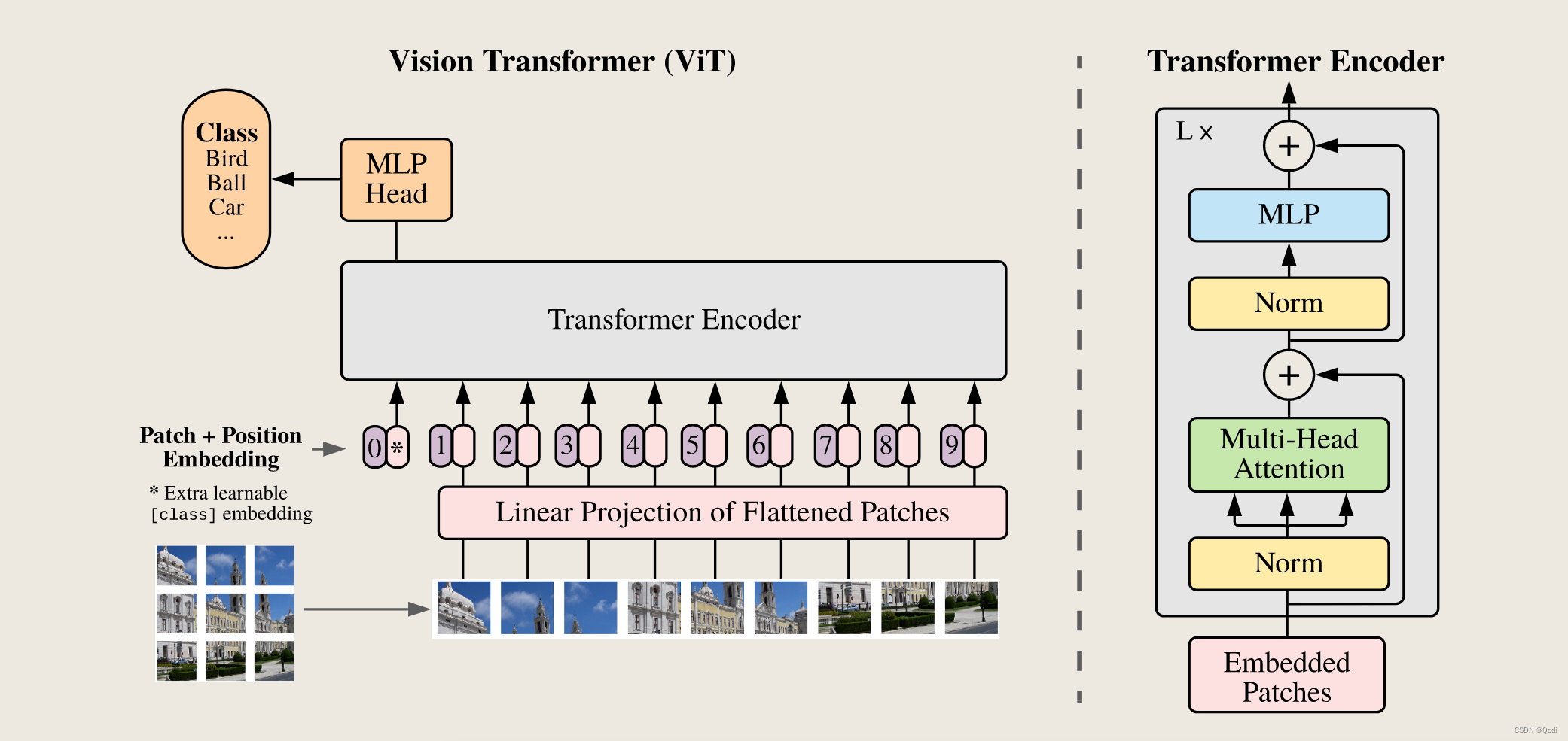 VIT 论文精读 | transformer架构引入CV的开创性工作