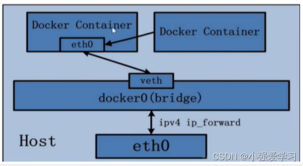 【14】Docker network | bridge | host | none | container