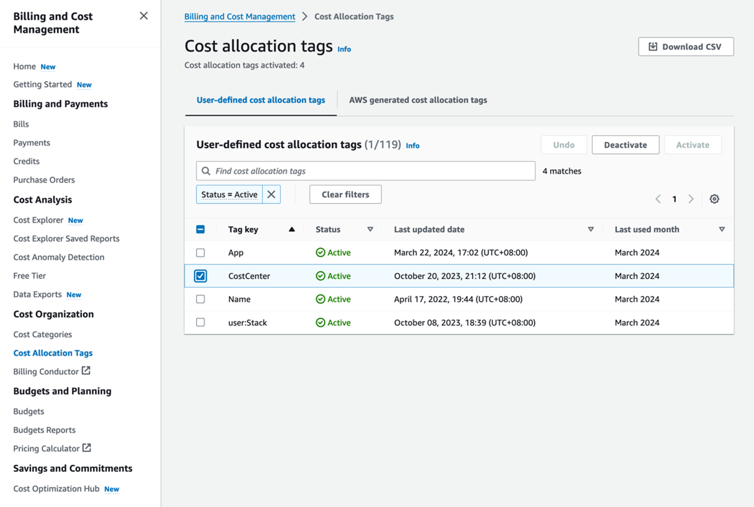 图 2 Cost Allocation Tags 在亚马逊云科技 Console 的显示示意