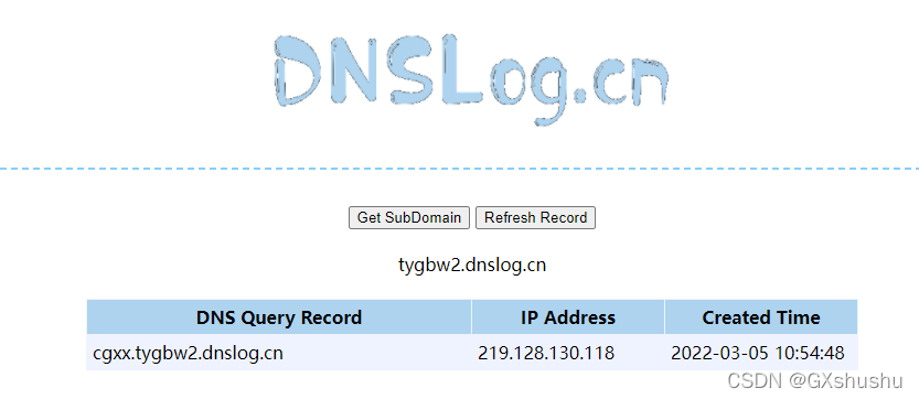 dnslog