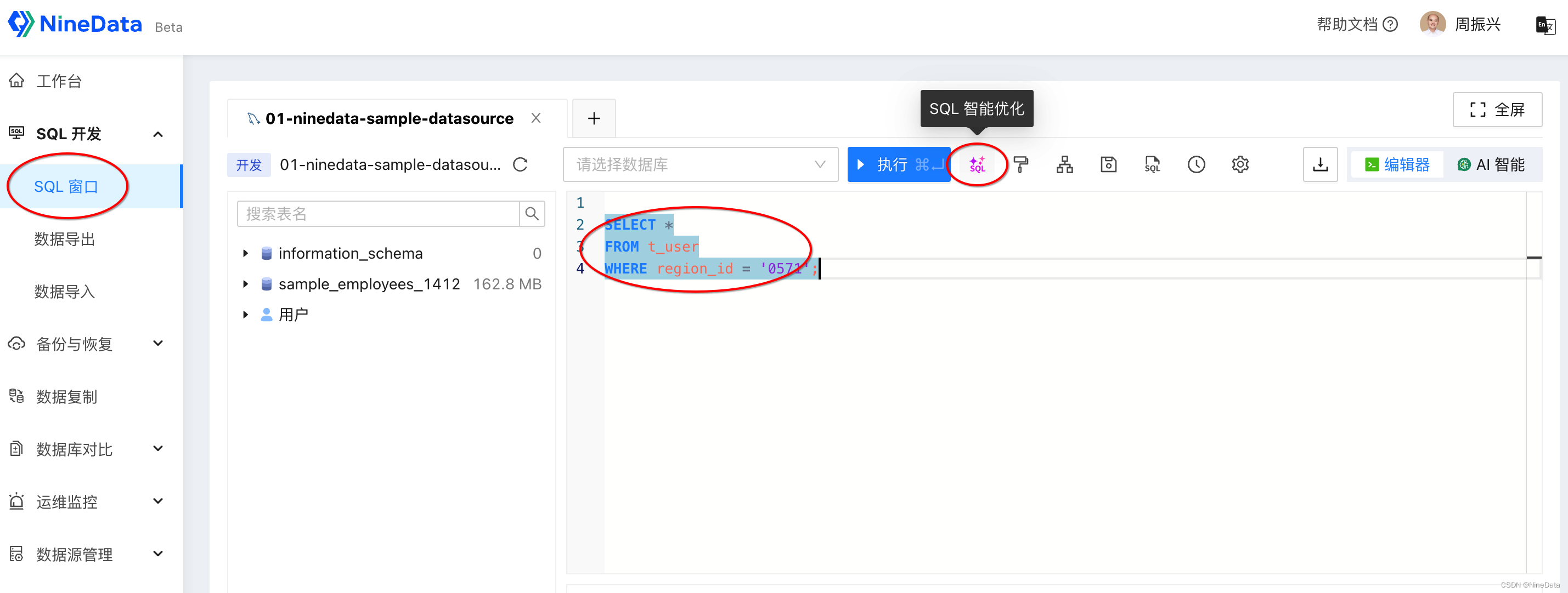 NineData系统中发现了如下的慢 SQL 需要优化