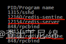 redis5.0配置一主两从三哨兵