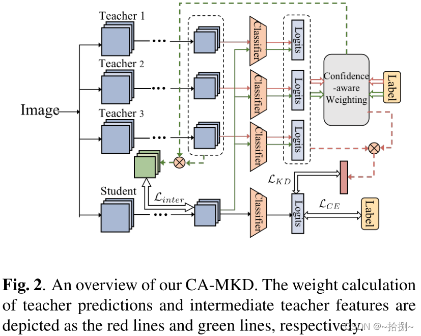 图2. 我们的CA-MKD概述。教师预测和中级教师特征的权重计算分别用红线和绿线表示
