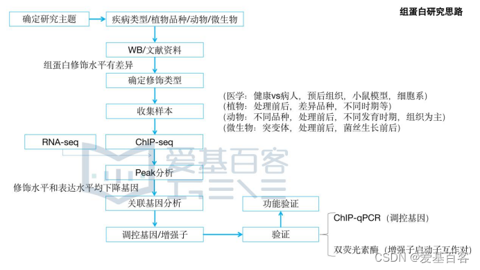 蛋白修饰技术服务,蛋白修饰技术服务包括