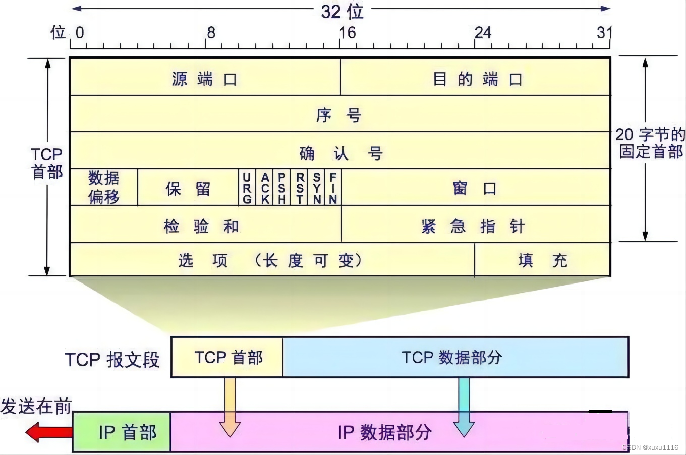 在这里插入图片描述