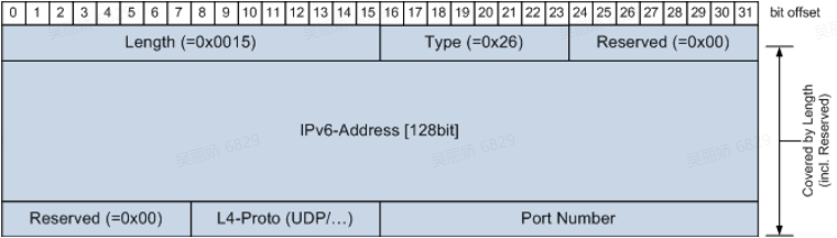 IPv6 SD端口Option格式