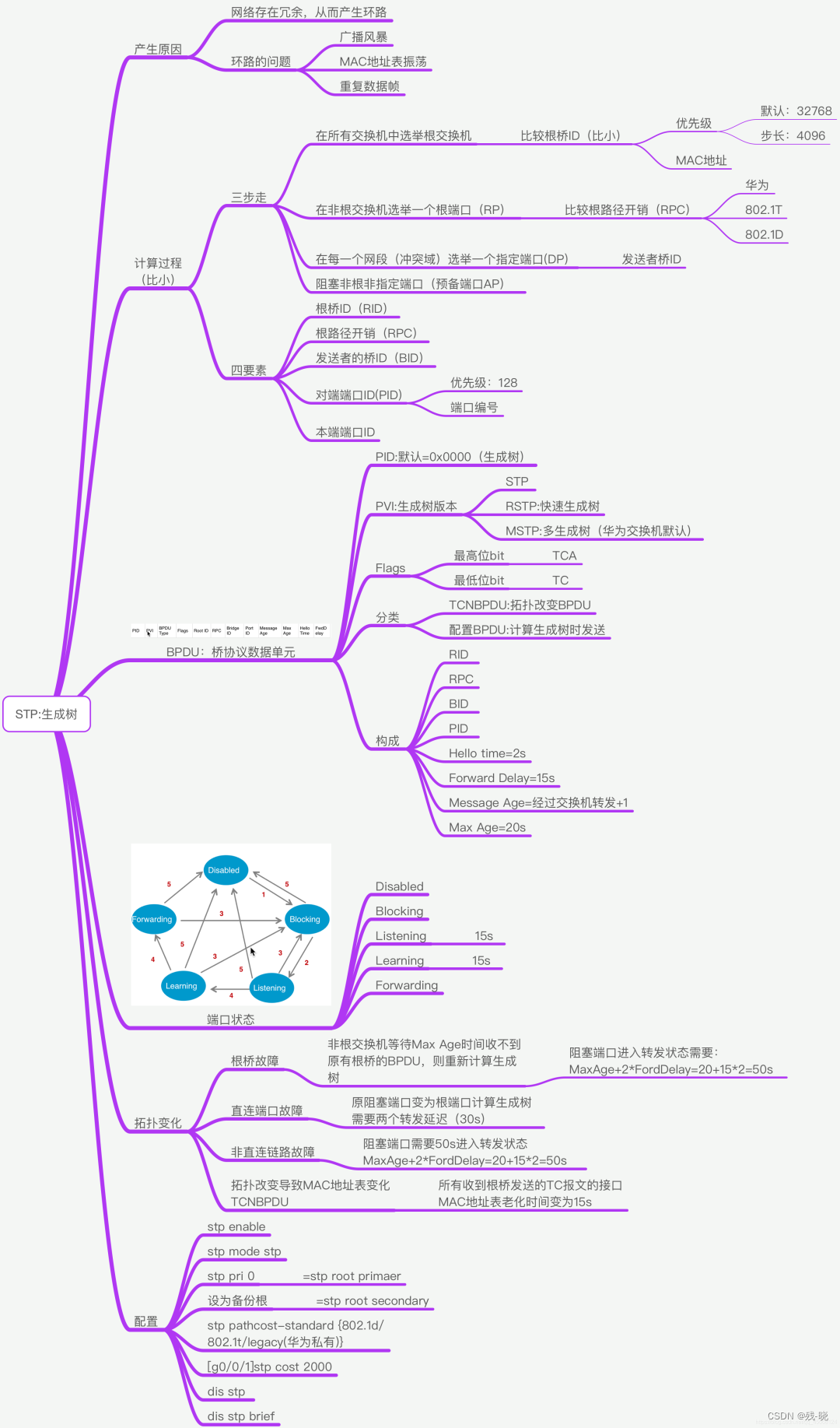 STP Spanning Tree